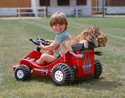 Boy with three young lions