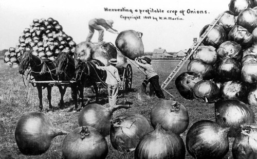 Agriculture