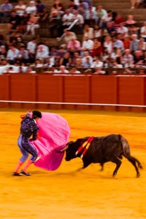 Racing bull with matador