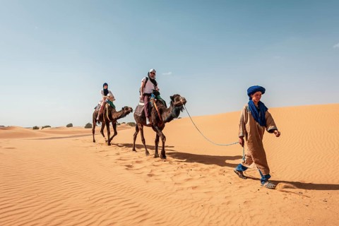 Caravan with dromedaries (Camelus dromedarius)