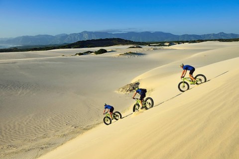 Mountain bikers with fat bikes descending sand dunes