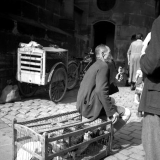 Seller sits on a cage with chickens and smokes his pipe