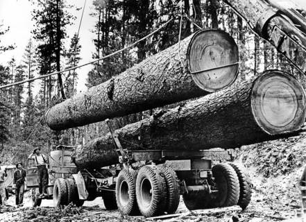 Lumberjacka