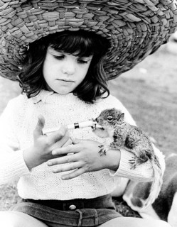 Girl with straw hat feeding chipmunks