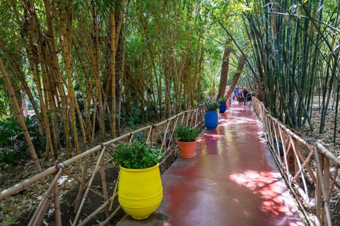 Jardin Majorelle Botanical Garden