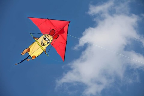 Kite with the Show with the mouse figure
