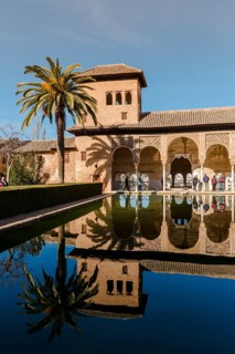 Antique Building El Partal with pool and palm trees