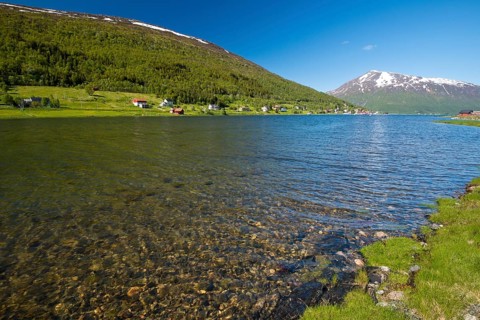 Sorfjord