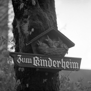 Shield with carved young birds in a nest