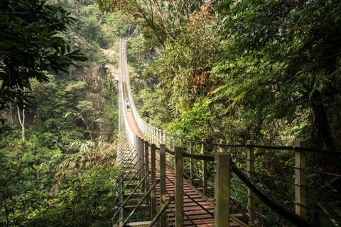 People on suspension bridge