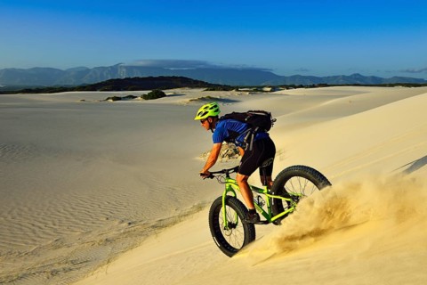 Cycling tour with fatbikes at Die Plaat Beach