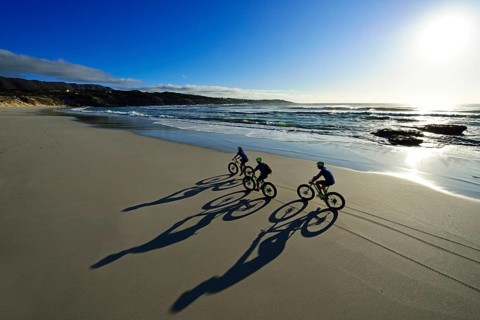 Mountain bikers with Fatbikes at the sandy beach