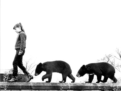 Girl balancing with two brown bear cubs on wall