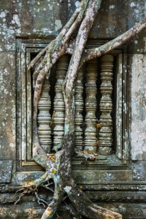 Tree root overgrown window of a Khmer temple ruin