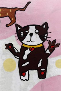 Funny Cat