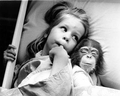 Girl in bed with chimpanzees