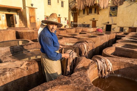 Leather tanners on tanks with paint for dyeing leather