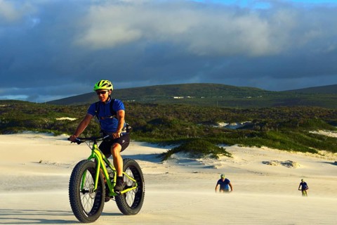 Fatbiker in the dunes near De Kelders