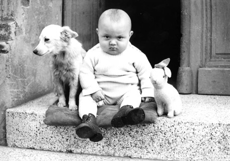 A baby with a dog and plush rabbit sits on a landing and looks grimly into the camera