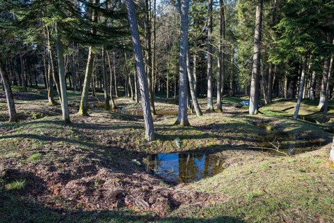 Site of the destroyed village Fleury-devant-Douaumont