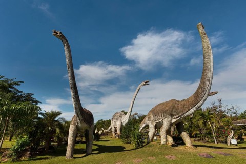 Dinosaur Park