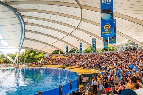Arena