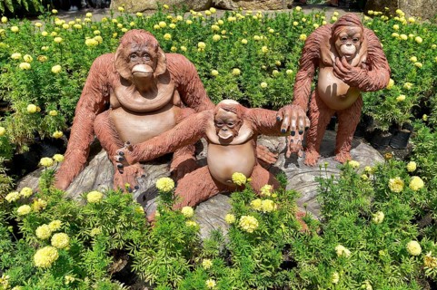 Orang Utan figures