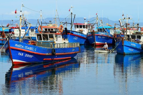 Fishing boats in the bay of Puerto del Hambre