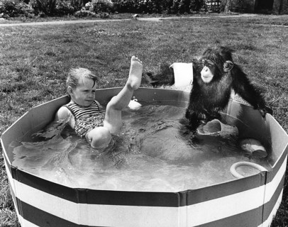 Girl and chimpanzee in paddling pool