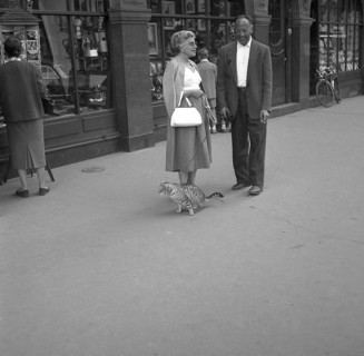 A woman leads her cat on a leash