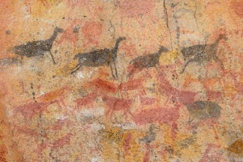 Cave paintings in the Cave of Hands
