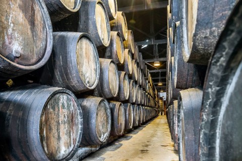 Plenty of port wine barrels in a wine cellar in Vila Nova de Gaia