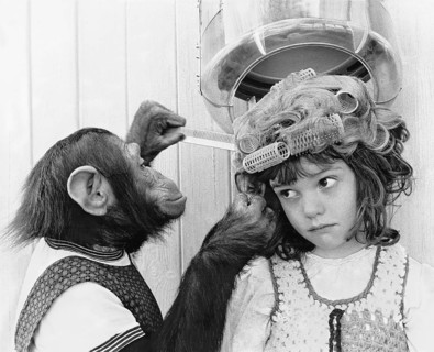 Schimanse combs a girl
