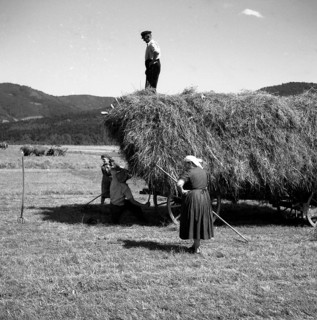 Women sweep hay and farmer stands on the hay cart