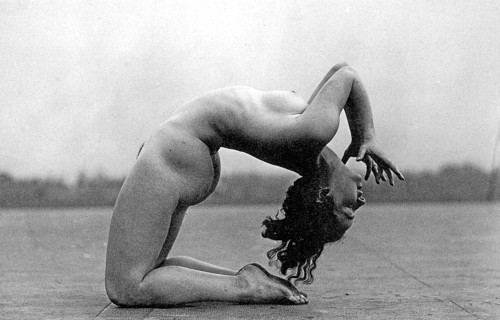 Free-body culture