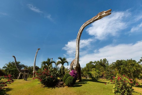 Dinosaur Park