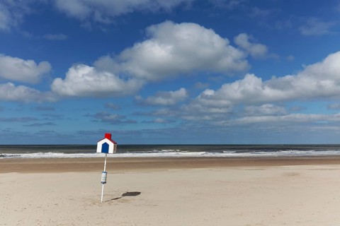 Sandy beach with marked beach section