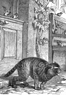 Cat has pinched the tail in the door