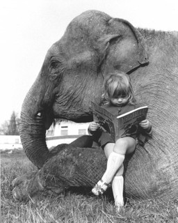Girl sits on elephant and reads