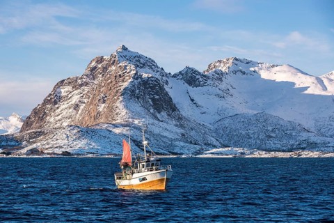 Traditional fishing boat catching the net