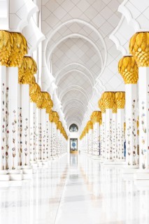 Gang in the Sheikh Zayed Mosque