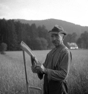 Man stands on the field and looks into the camera while sharpening a scythe with a knife