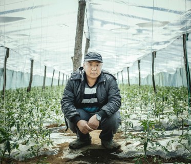 Greenhouse worker