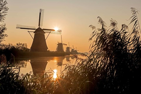 Historical windmills at sunrise