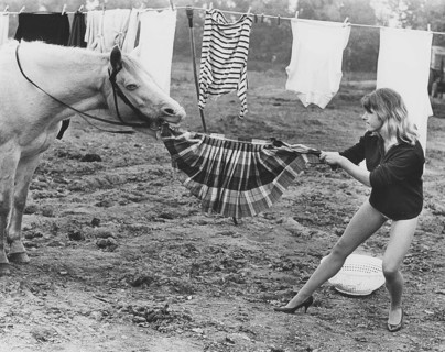 Horse steals skirt