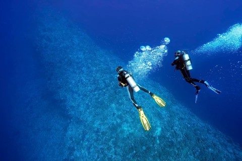Two divers diving over coral reef