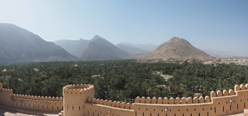View over wall with battlements to palm oasis and Hajar Mountains