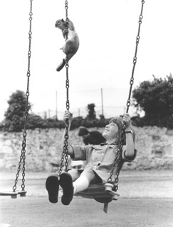 Monkey and child on a swing