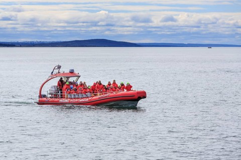 Whale watching tourists on the St. Lawrence River