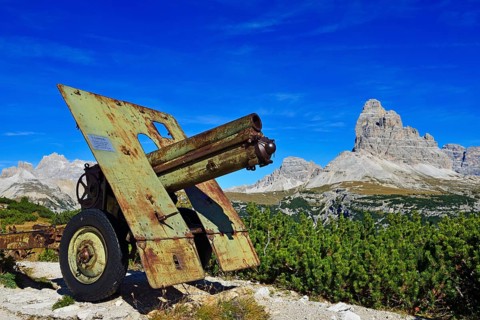 Cannon